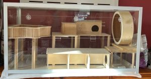 Picture of Hamster enclosure | The Bunnyjackpot Foundation