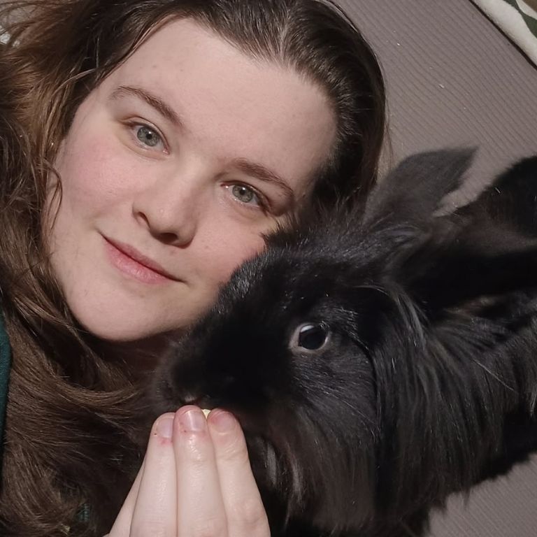 Bex